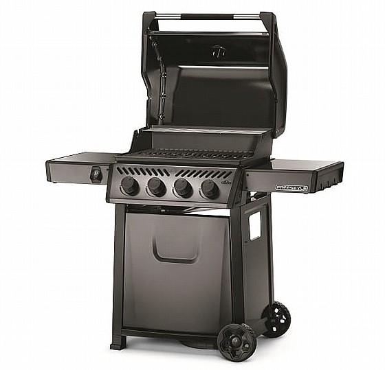 ���� �� �������� FREESTYLE 425 ��� F425PGT-IL ���� ���� ������