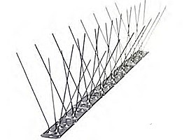 ������� ������ ����� ���� �������\������ ����