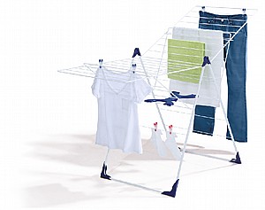 ���� ����� ���� 