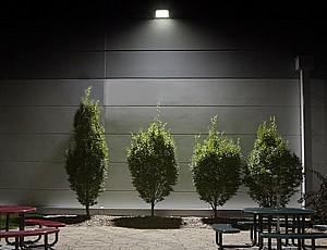 ��� ���� ��� F-LUX 50W ���� EUROLUX 