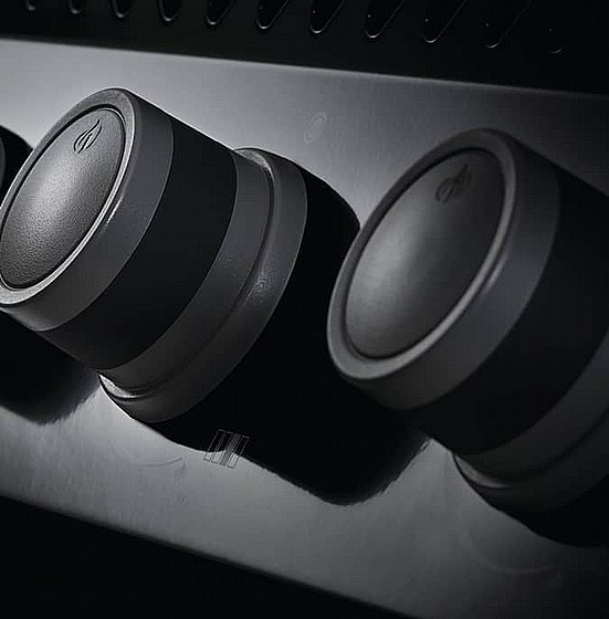 ���� �� Napoleon ROGUE XT 425SIB ���� ��� RXT425SIBPK-1-IL ���� carmel direct