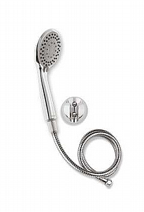 ����� ���� SALERNO ����� ��� 108037 ���� GOCCIA