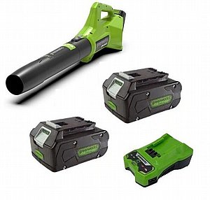 ���� ���� ����� GEN2 24V ���� ��� ������ 4 ���� ����� �� ��� - 24V ��� 99506-12 GREENWORKS