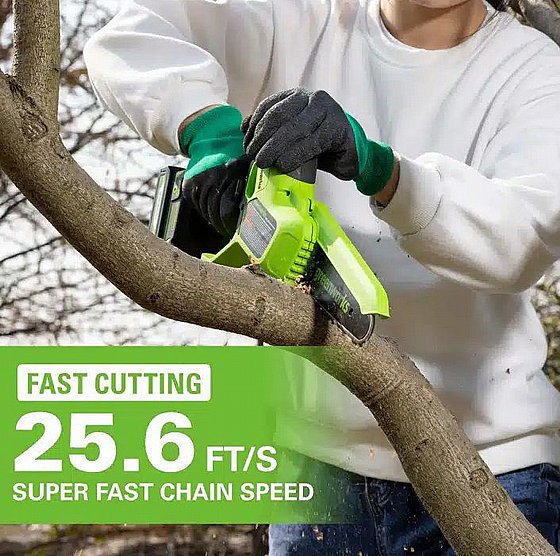 ���� ����� ���� ���� ������ ��� 10 �"� (��� ����) GREENWORKS 99543-1 24V