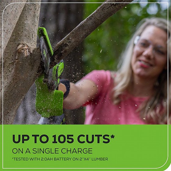 ���� ����� ���� ���� ������ ��� 10 �"� (��� ����) GREENWORKS 99543-1 24V