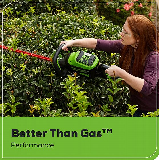 ����� ������ ����� 5 ���� ��� 2 ����� GREENWORKS 80V PRO 99566